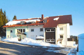 Apartment in Haidmühle with balcony or terrace